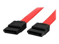 StarTech.com Câble SATA de 46 cm - Cordon Serial ATA en rouge - Câble SATA - SATA (F) pour SATA (F) - 45.8 cm - pour P/N: 10P6G-PCIE-SATA-CARD, 2P6G-PCIE-SATA-CARD, 4P6G-PCIE-SATA-CARD, 6P6G-PCIE-SATA-CARD SATA18