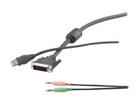 Belkin OmniView - Kit câble audio / USB / vidéo - USB, mini jack stéréo, DVI-I (M) pour mini jack stéréo, USB type B, DVI-I (M) - 1.83 m - vis moletées - gris - B2B - pour P/N: F1DN102D, F1DN102DEA, F1DN104D, F1DN104DEA F1D9201-06