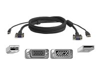 Belkin OmniView All-In-One Pro Series Plus - Câble vidéo / USB - HD-15 (VGA), USB type B pour USB, HD-15 (VGA) (M) - 1.8 m - moulé - B2B - pour P/N: F1DN102U, F1DN104U, F1DN108U F3X1962B06