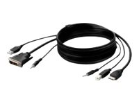 Belkin Secure KVM Combo Cable - Câble vidéo / USB / audio - USB, jack mini, DVI-D (M) pour USB type B, jack mini, HDMI (M) - 3.05 m - passif, support 4K - noir F1DN1CCBL-DH-10