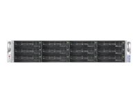 NETGEAR ReadyDATA 5200 - Serveur NAS - 12 Baies - 12 To - montage en rack - HDD 1 To x 12 - RAID 0, 1, 5, 6 - 10 Gigabit Ethernet - iSCSI - 2U RD521210-100WWS