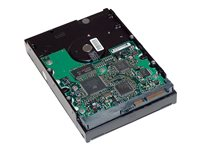 HP - Disque dur - 2 To - interne - 3.5" - SATA 6Gb/s - 7200 tours/min - mémoire tampon : 64 Mo - pour Workstation Z2 G4, Z2 G9, Z230, Z4 G4, Z420, Z6 G4, Z620, Z640, Z8 G4, Z820; ZCentral 4R QB576AA