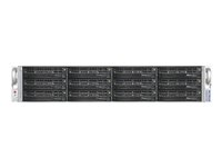 NETGEAR ReadyNAS 4200 RN12T1230 - Serveur NAS - 12 Baies - 36 To - rack-montable - SATA 3Gb/s - HDD 3 To x 12 - RAID 0, 1, 5, 6 - RAM 8 Go - Gigabit Ethernet - iSCSI - 2U RN12T1230-100EUS