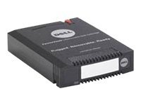 Dell - RDX - 500 Go / 1 To - pour PowerEdge R310, R320, R720, R820, T110, T310, T320, T420, T620; PowerVault 114, NX3200 440-11179