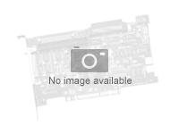 NETGEAR Expansion card - Contrôleur de stockage - SAS - pour ReadyNAS 3312; 4312X RRSASEXP-10000S