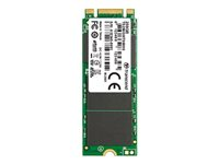 Transcend MTS600S - SSD - 256 Go - interne - M.2 2260 - SATA 6Gb/s TS256GMTS600S