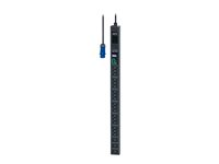 APC Easy Metered Rack PDU EPDU1116M - Unité de distribution secteur (rack-montable) - CA 200/208/230 V - 3680 VA - Ethernet - entrée : IEC 60309 2P+E - connecteurs de sortie : 21 (18 x IEC 60320 C13, 3 x IEC 60320 C19) - 0U - 3 m cordon - noir - pour P/N: AR9300SP, AR9300SP-R, AR9307SP, AR9307SP-R, SMC1000I-2UC, SMC1000IC, SMC1500I-2UC EPDU1116M