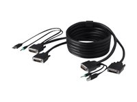 Belkin Secure KVM Cable Kit - Kit câble audio / USB / vidéo - USB, mini jack stéréo, DVI-D (M) pour mini jack stéréo, USB type B, DVI-D (M) - 1.8 m - B2B - pour P/N: F1DN104E, F1DN104E-3, F1DN104E-3EA, F1DN104F, F1DN104F-3 F1D9014B06