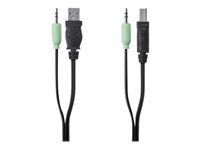 Belkin Secure KVM Cable Kit - Câble USB/audio - USB, mini jack stéréo (M) pour mini jack stéréo, USB type B (M) - 1.83 m - moulé - pour P/N: F1DN104K-3 F1D9022B06