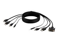 Belkin Secure KVM Combo Cable - Câble vidéo / USB / audio - USB, jack mini, DVI-D, DisplayPort (M) pour USB type B, jack mini, HDMI, DisplayPort (M) - 3.05 m - passif, support 4K - noir F1DN2CC-DHPP-10