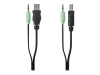 Belkin Secure KVM Cable Kit - Câble USB/audio - USB, mini jack stéréo (M) pour mini jack stéréo, USB type B (M) - 3.05 m - moulé - pour P/N: F1DN104K-3 F1D9022B10