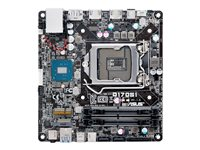 ASUS Q170S1/CSM - Carte-mère - STX mini - Socket LGA1151 - Q170 - USB 3.0, USB-C - Gigabit LAN - carte graphique embarquée (unité centrale requise) - Audio HD (4 canaux) Q170S1/CSM