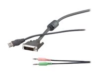 Belkin OmniView - Kit câble audio / USB / vidéo - USB, mini jack stéréo, DVI-I (M) pour mini jack stéréo, USB type B, DVI-I (M) - 4.57 m - vis moletées - gris - B2B - pour P/N: F1DN102D, F1DN102DEA, F1DN104D, F1DN104DEA F1D9201-15