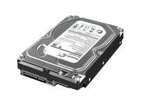 Lenovo - Disque dur - 3 To - interne - 3.5" - SATA 6Gb/s - 7200 tours/min - mémoire tampon : 64 Mo - pour ThinkStation C30 (3.5"); D30 (3.5"); E32 (3.5"); P300 (3.5"); P310; P500; P700; P900; S30 4XB0F18668