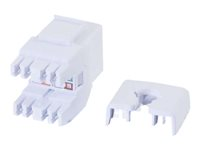 C2G Cat6 180° Keystone Jack - Prise modulaire - CAT 6 - UTP - RJ-45 - blanc 84030