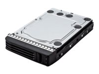 BUFFALO - Disque dur - 2 To - échangeable à chaud - SATA 6Gb/s - pour TeraStation 7120r Enterprise OP-HD2.0ZS-3Y