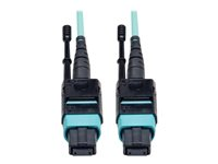 Tripp Lite 2M MTP / MPO Fiber Optic Patch Cable 12 Fiber 40GbE Aqua OM3 Plenum 6ft 6' 2 Meter - Cordon de raccordement - MTP/MPO multimode (M) pour MTP/MPO multimode (M) - 2 m - fibre optique - simplex - 50 / 125 microns - OM3 - plenum - turquoise N844-02M-12-P