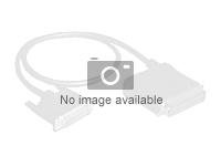 Lenovo 3.5"/2.5" HS SAS/SATA x4 Cable for HW RAID/HBA - Câble SATA / SAS - pour ThinkSystem SR250 4Z57A12652